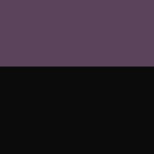 4.0 - Violet/Black