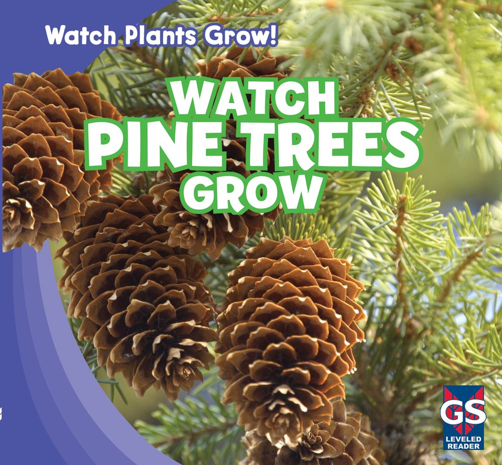 Watch Pine Trees Grow - Real Time Plant Growth Observation Kit for Kids & Adults | Perfect for Science Projects, Classroom Learning & Nature Enthusiasts