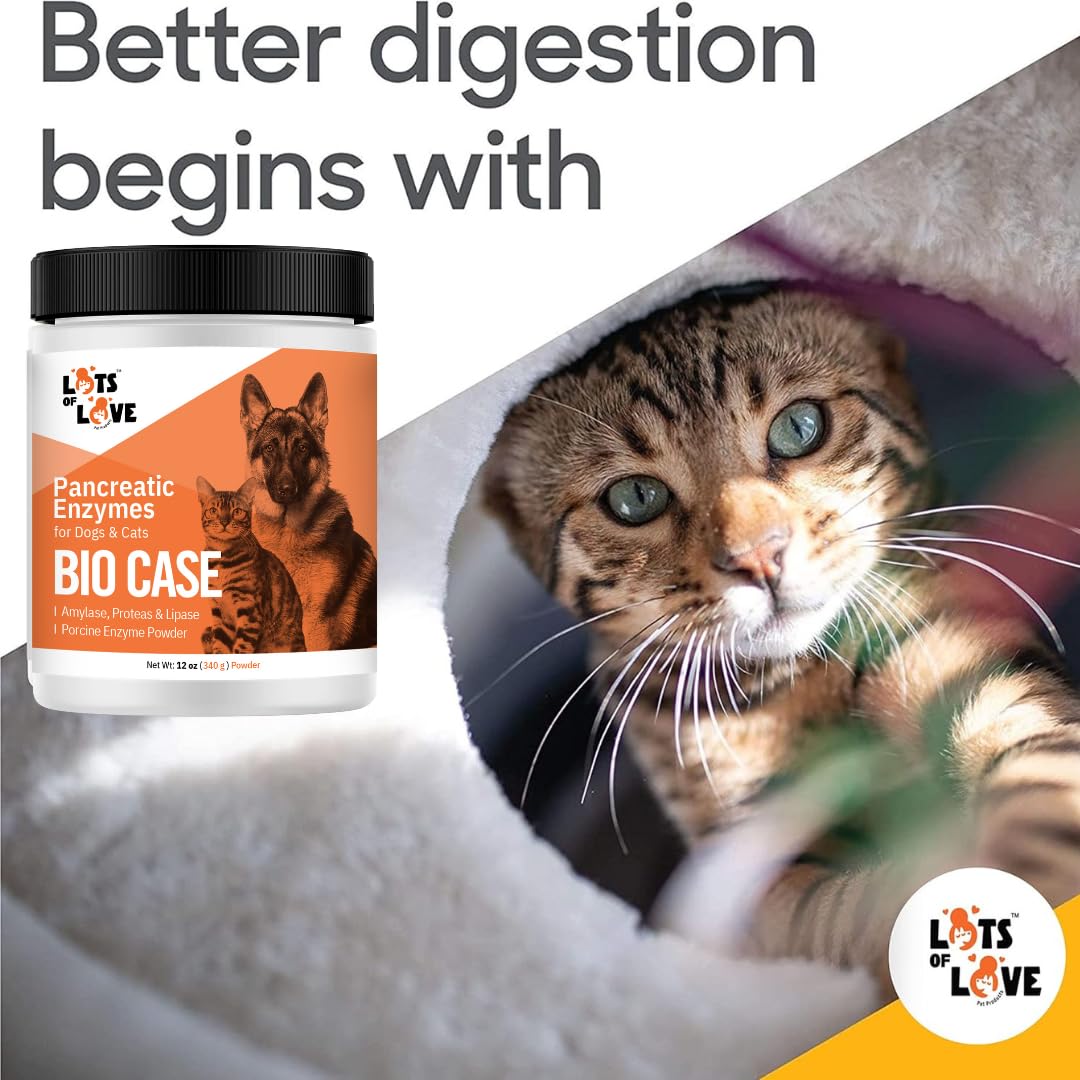 Bio Case Pancreatic Enzyme Powder for Dogs & Cats - 12 Oz Digestive Support Supplement | Formerly Thomas Labs BioCase | Supports Healthy Digestion for Pets with Pancreatic Issues