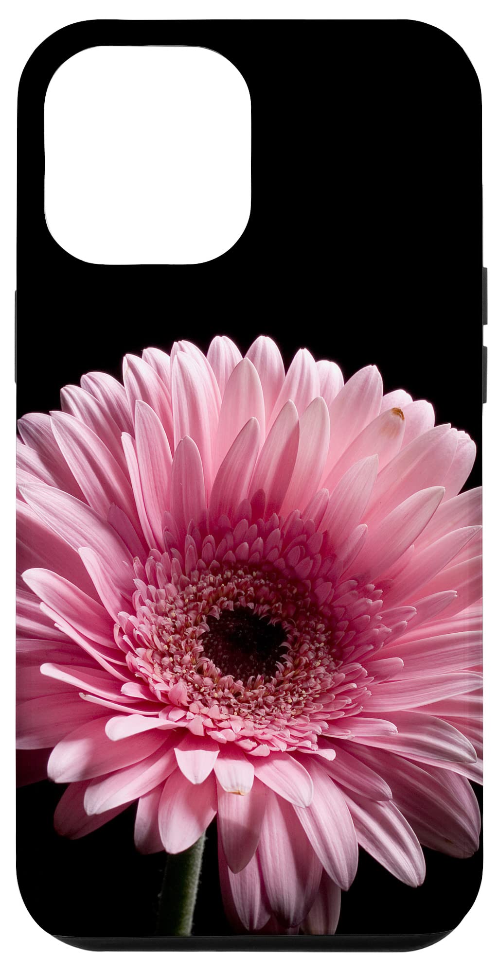 iPhone 12 Pro Max Case - Pink Gerber Daisy Floral Design, Slim Protective Cover for Women Girls | Perfect for Daily Use, Work, Travel & Gift Giving