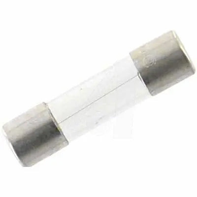 Fast Acting 250mA Glass Cylinder Fuse 5x20mm - GMA Series Fuse for Electronics, Appliances & Circuit Protection
