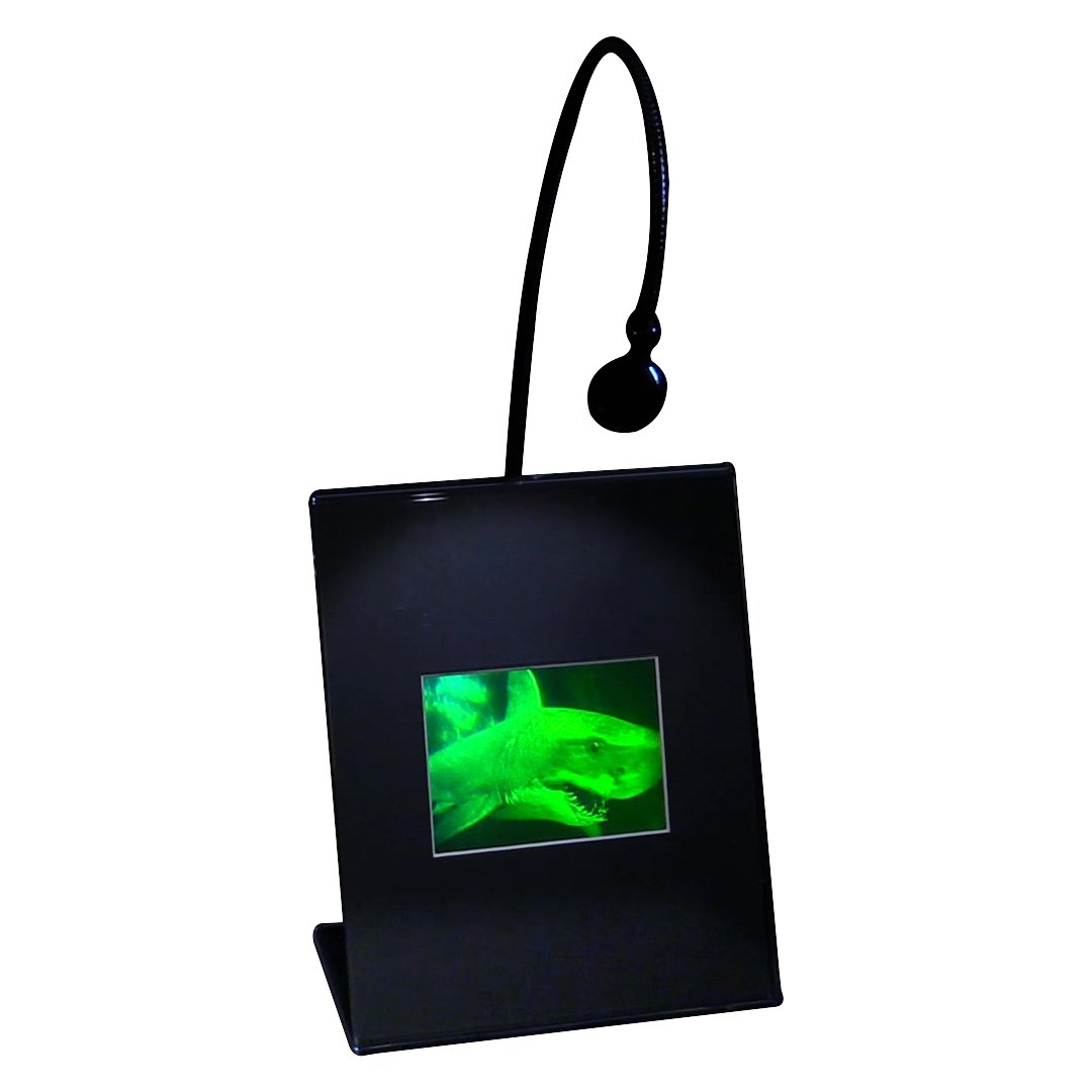 3D Great White Shark Hologram Picture with LED Lighted Desk Stand - Collectible Photopolymer Film for Home & Office Decor, Unique Gift Idea