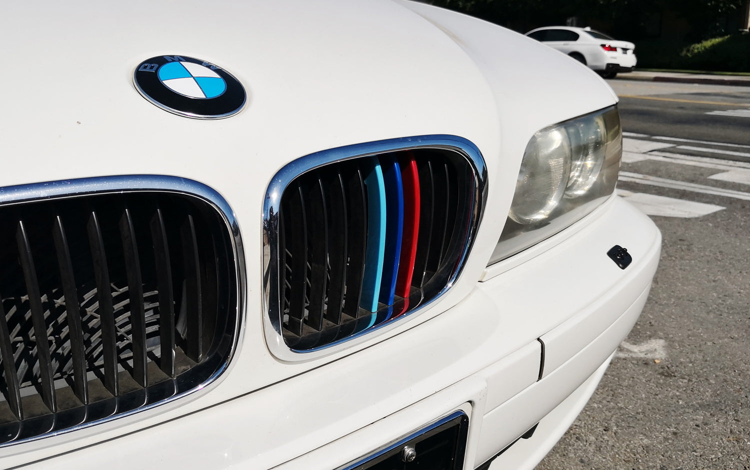 BMW E39 5 Series (1995-2003) ///M Style Colored Grille Insert Trims - 10 Beam Grill Upgrade for Enhanced Style & Performance | Perfect for Car Enthusiasts & Custom Builds