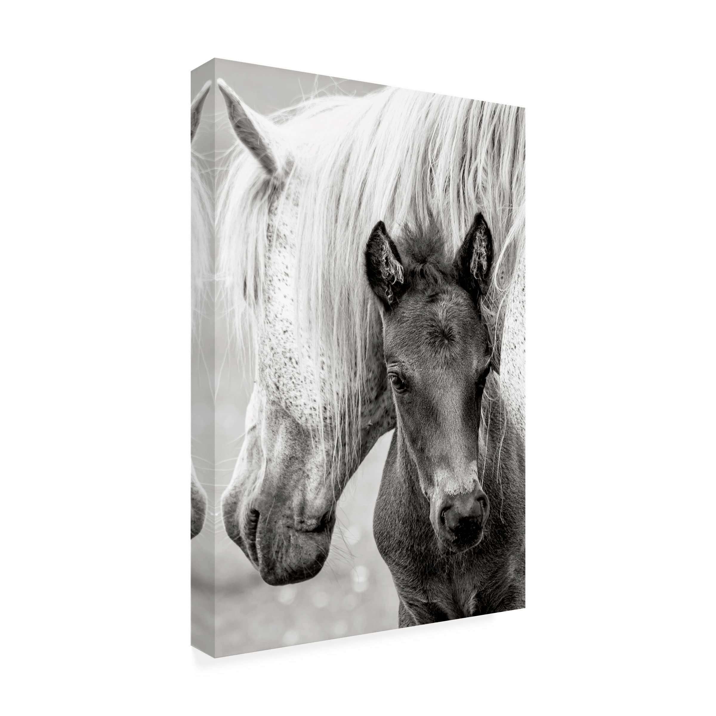 Jacky Parker 'The Foal' Canvas Wall Art Print - Premium Horse Painting for Home & Office Decor - Perfect for Living Room, Bedroom, Nursery & Gifts