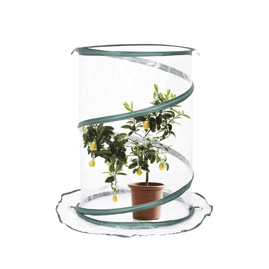 Mini Greenhouse for Plants - Portable Pop-Up Foil Greenhouse with Rain & Heat Cover - Ideal for Winter Protection of Tomatoes, Vegetables & Seedlings | Perfect for Indoor & Outdoor Gardening