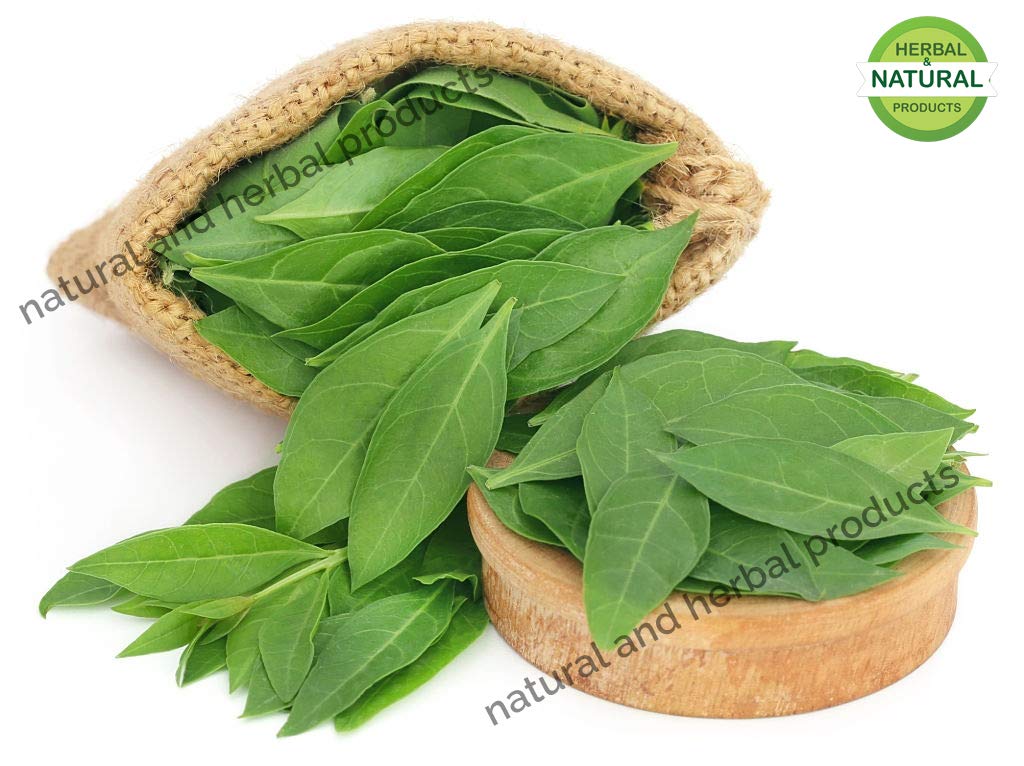 Pure Henna Powder (Lawsonia Inermis) | 200g Natural Mehndi for Hair Care - Promotes Hair Growth, Reduces Hair Fall & Natural Coloring | Mignonette Tree Extract | Perfect for DIY Hair Treatments & Traditional Body Art