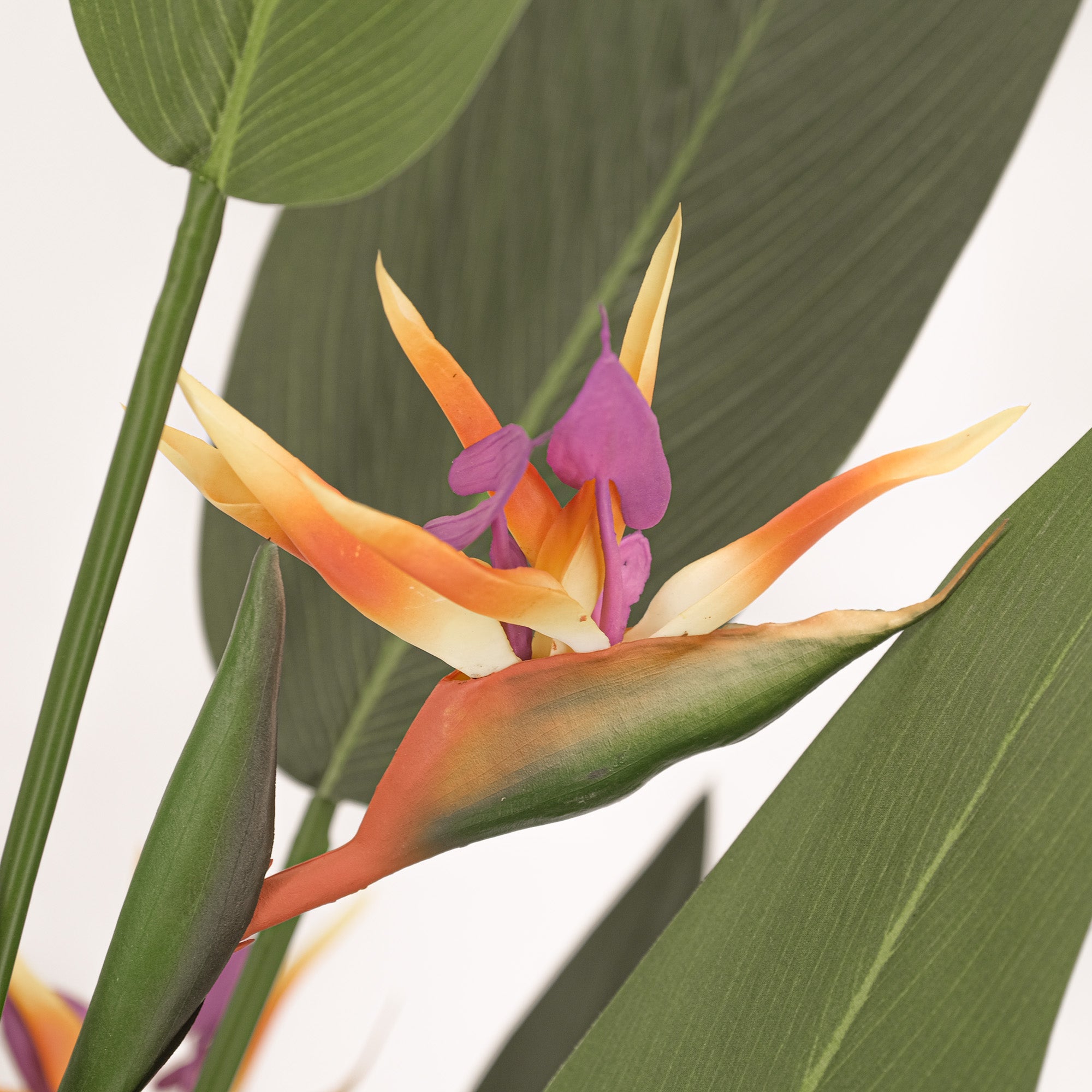 Large Artificial Plants - Giant Bird of Paradise with Flowers 180cm Tall - Perfect for Home Decor, Office, and Indoor Greenery