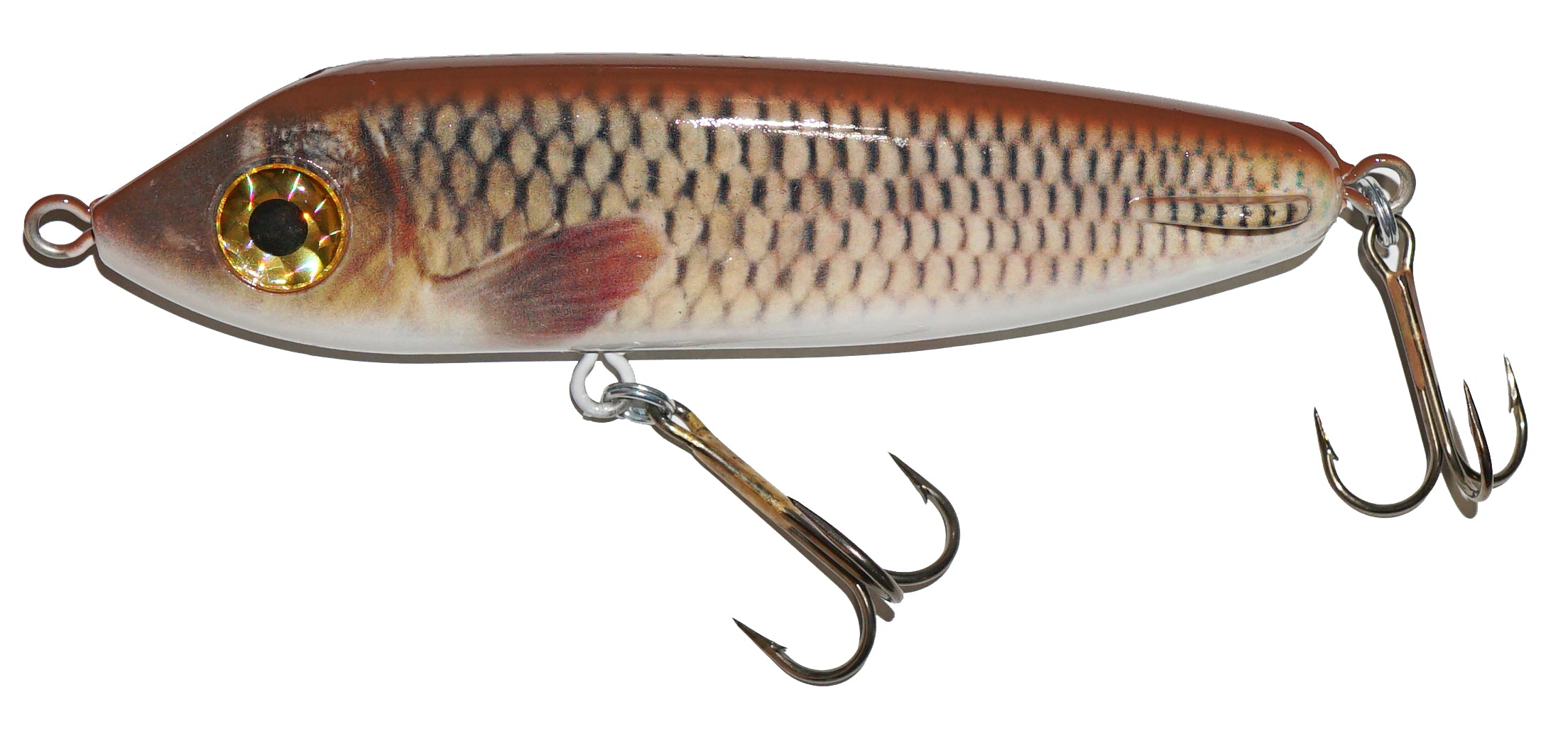 Live Image Carp