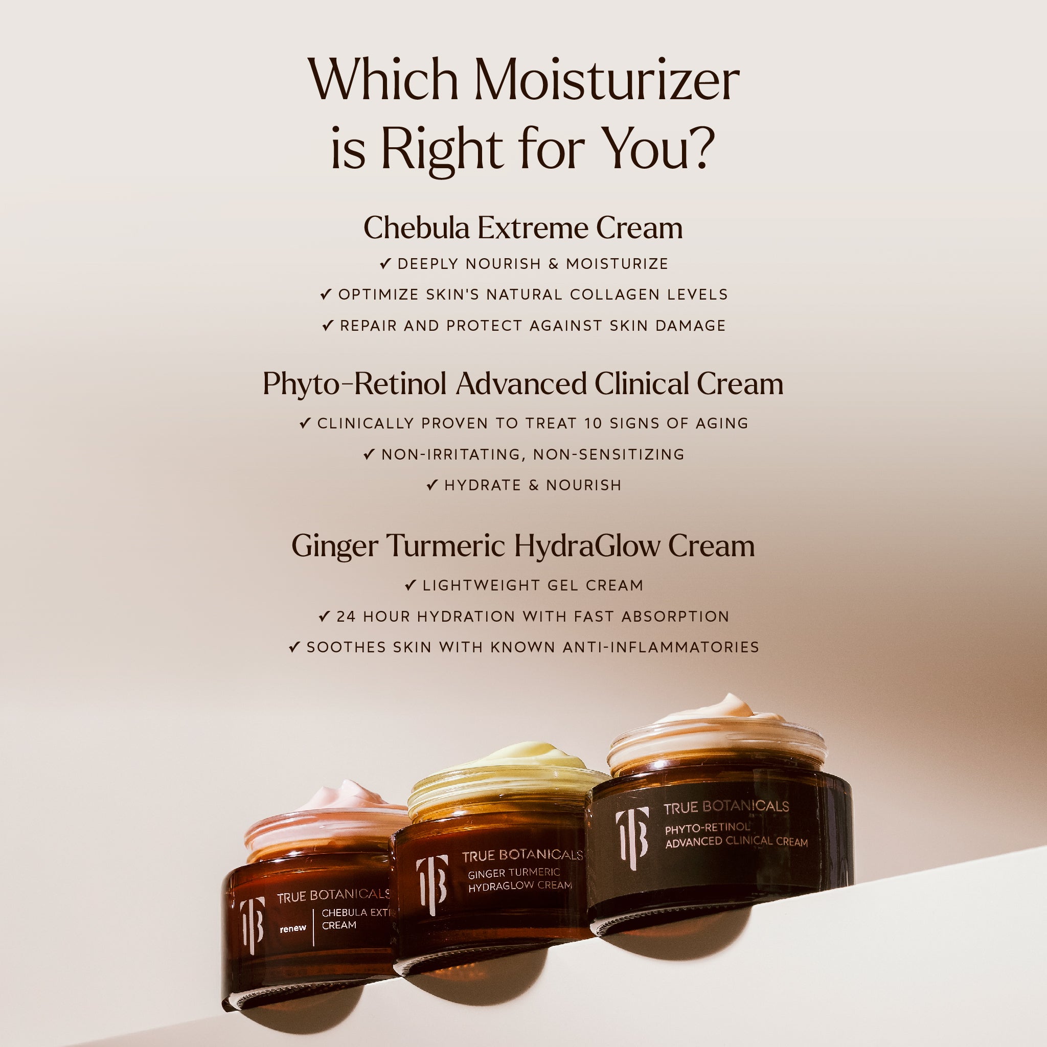 Renew Chebula Extreme Cream – Anti-Aging Face Moisturizer for Wrinkles & Fine Lines | Hydrating & Firming Skincare for Daily Use