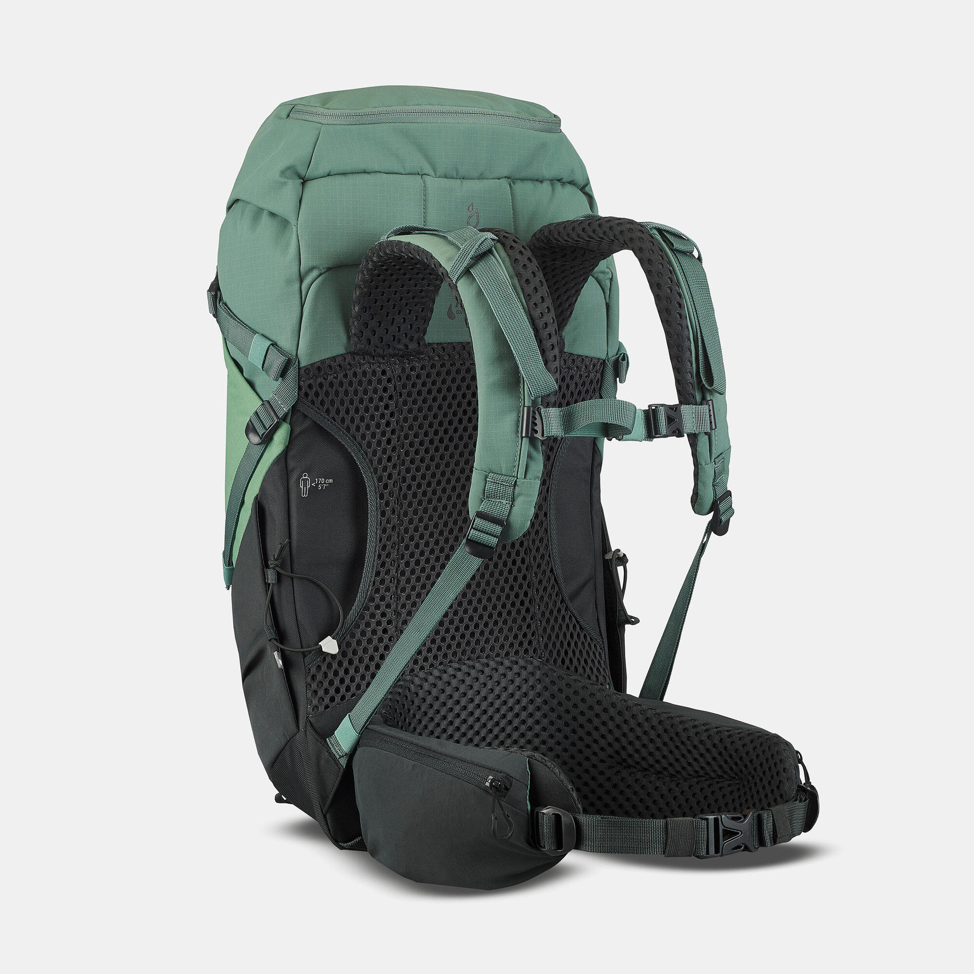 Quechua MH500 30L Lightweight Hiking Backpack - Waterproof & Durable for Outdoor Adventures, Camping & Travel