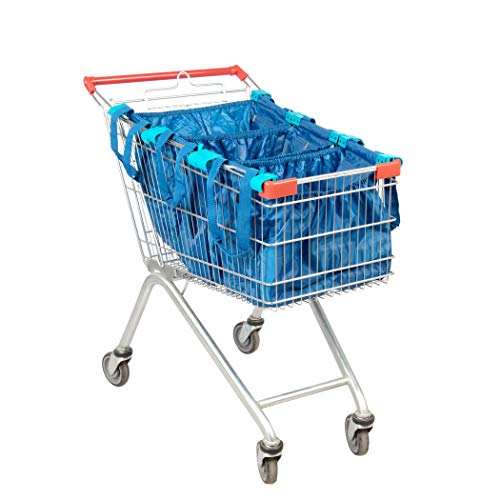 Bright Blue