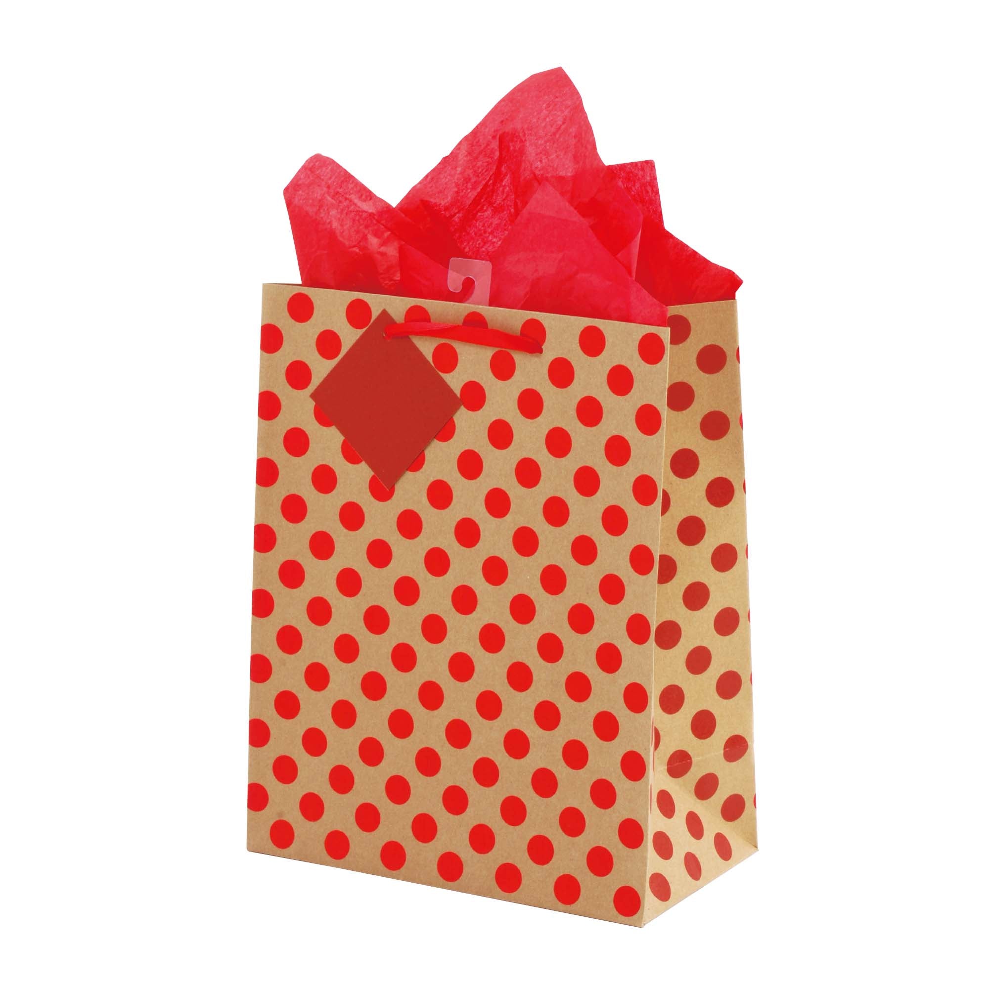Premium Large Dot Embossed Hot Stamping Kraft Party Bags - 4 Stylish Designs & Colors for Birthday, Wedding & Gift Packaging