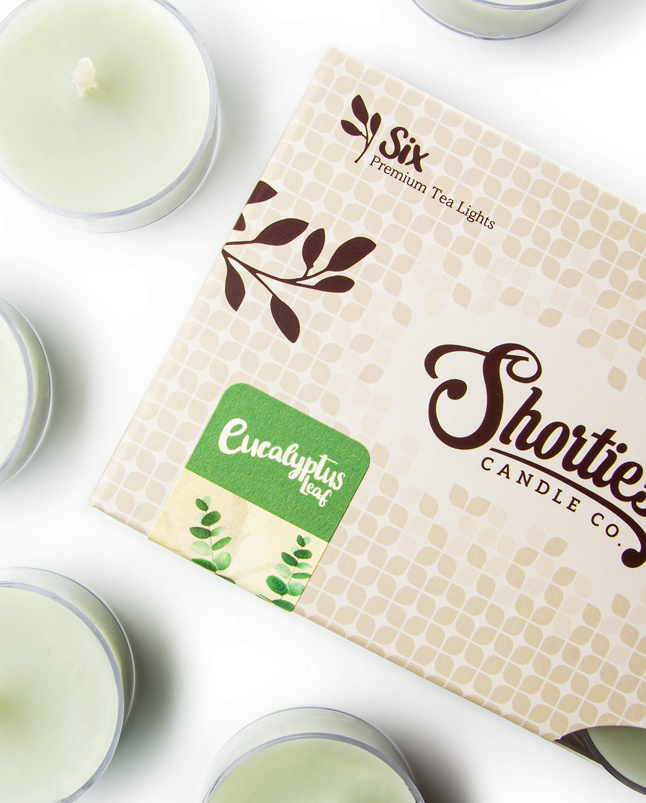 Premium Eucalyptus Leaf Scented Tealight Candles - 12 Pack Natural Essential Oil Aromatherapy Candles - Made in USA - Fresh & Clean Scent for Relaxation, Spa, Yoga & Home Decor