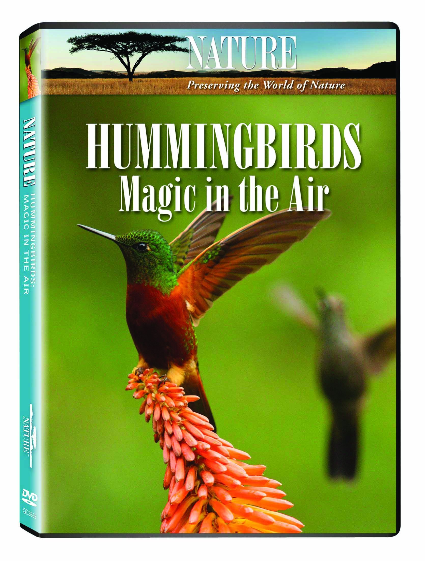 Nature: Hummingbirds - Magic in the Air | Stunning Bird Photography Book | Perfect Gift for Bird Lovers & Nature Enthusiasts | Relaxing Coffee Table Decor