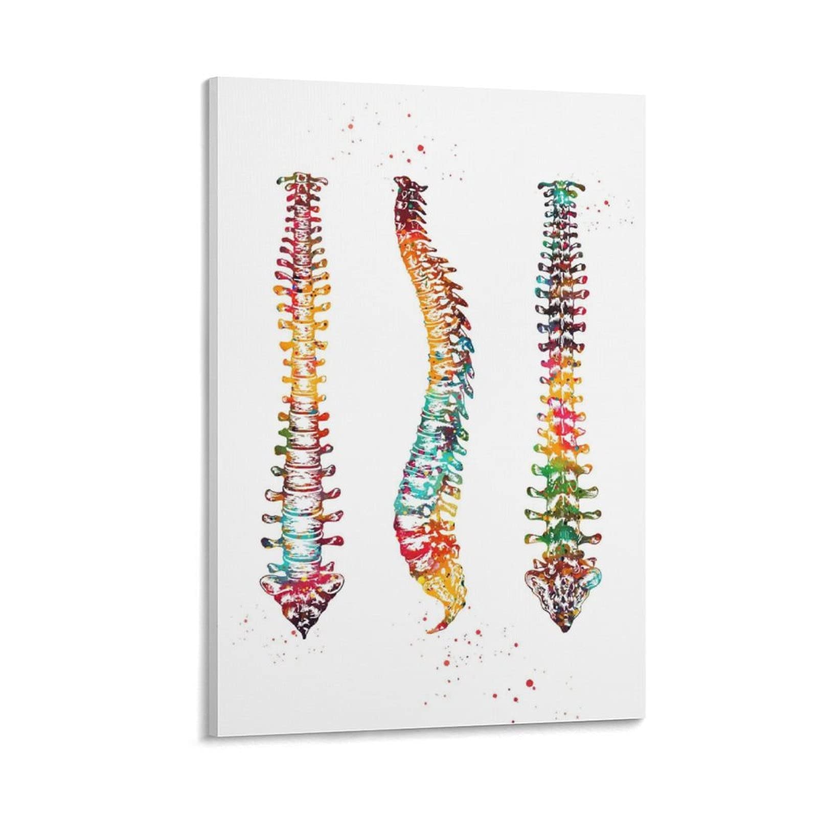 Abstract Spine Art Poster - Modern Human Anatomy Medical Decor - 20x30cm Canvas Wall Art for Living Room & Bedroom - Rosalias Collection - Perfect for Doctors Office, Yoga Studio & Home Decor