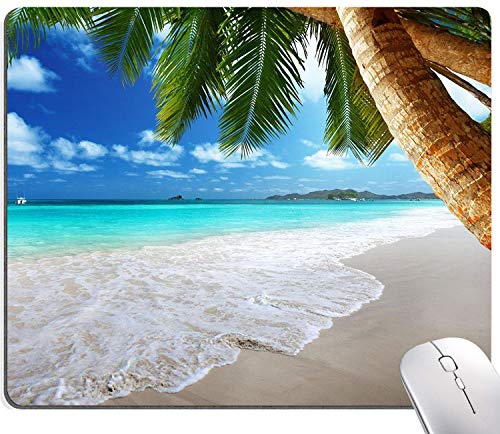 Beach and Coconut Trees Design
