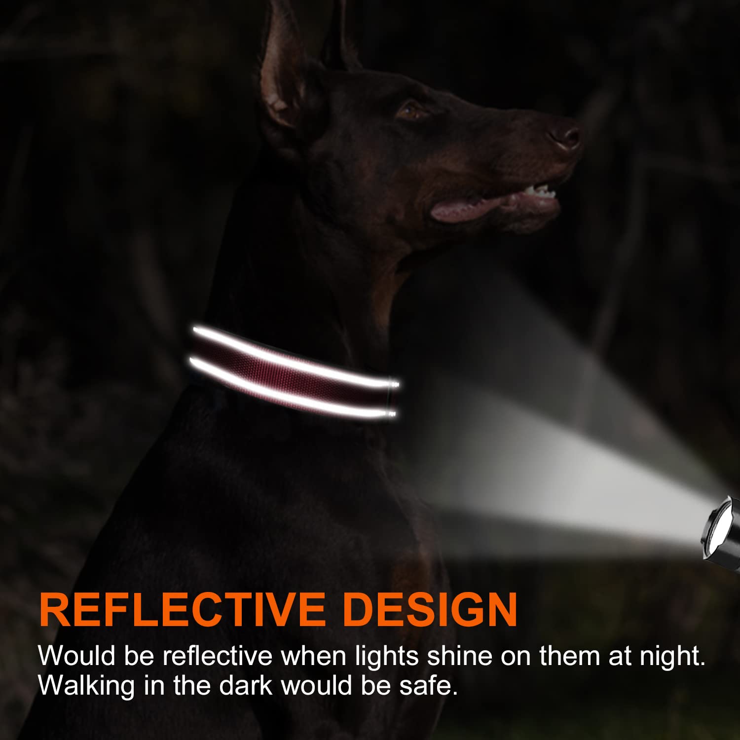 Joytale Personalized Dog Collars - Reflective Nylon Pet Collar with Engraved Name Plate | Custom Small Dog Collar in Red Size S | Perfect for Night Walks & Pet Safety