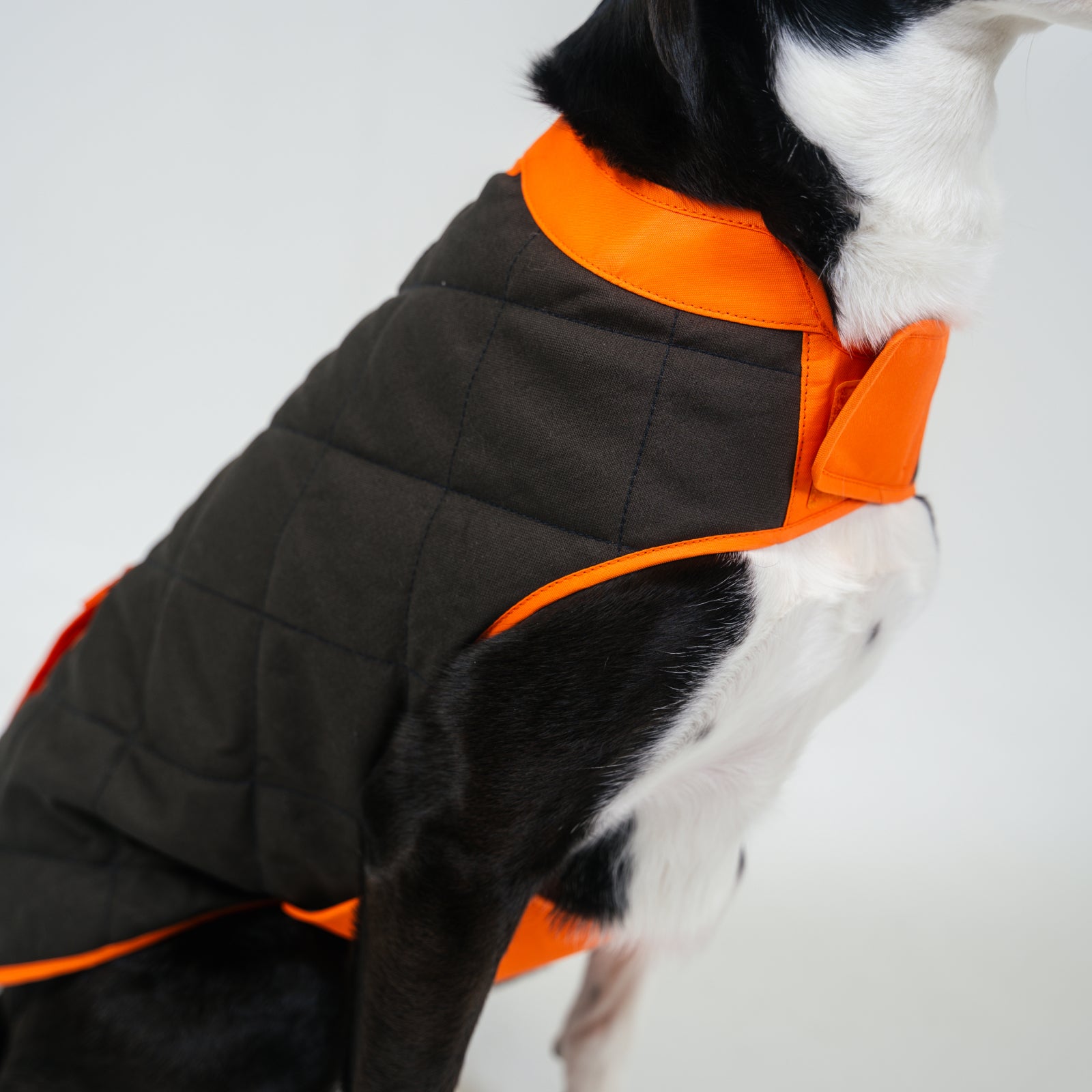 Highland Dog Vest for Small & Large Breeds - Warm & Stylish Winter Coat for Dogs - Perfect for Outdoor Walks, Hiking & Cold Weather Adventures