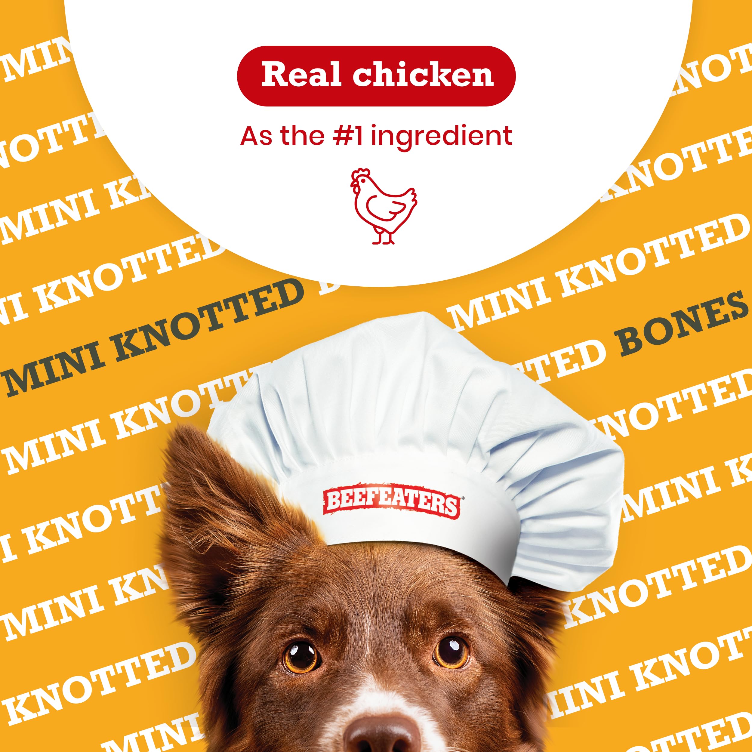 Beefeaters Mini Knotted Bone Chicken Flavor Dog Treats - 12ct | Rawhide-Free, All-Natural, No Artificial Flavors | Healthy Digestion & Teeth Cleaning | Training Treats for Small, Medium & Large Dogs | Perfect for Reward, Training & Dental Care