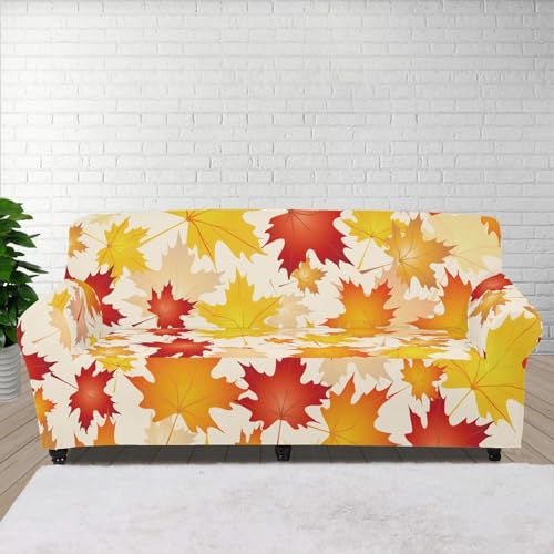 Autumn Maple Leaf