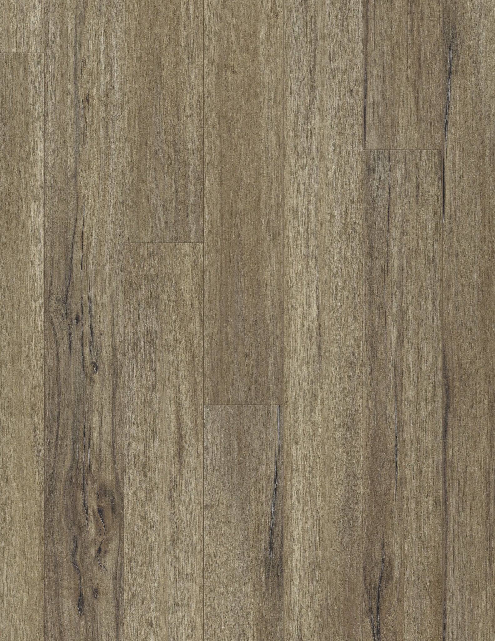 Coretec Plus Luxury Vinyl Plank Flooring - Baywood Oak 5