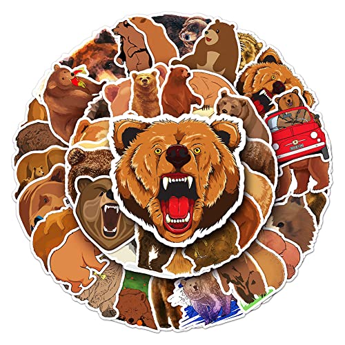 Brown Bear