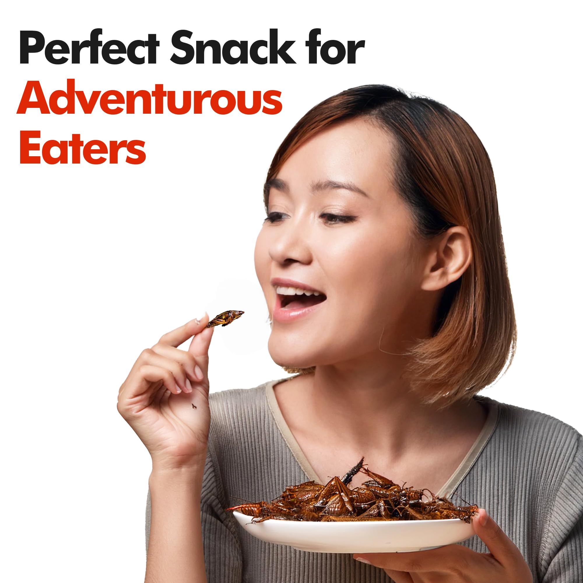 HotLix Crick-ettes Edible Crickets (6-Pack) | Crunchy Cricket Snacks, High-Protein Dried Insects for Humans, Exotic & Weird Food Gifts | Perfect for Camping, Hiking & Unique Party Snacks