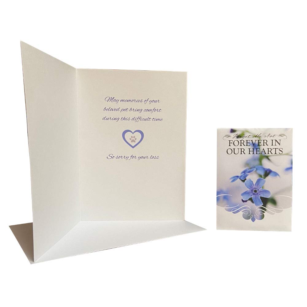 Sympathy Card for Pet Loss with Forget Me Not Seeds - Memorial Gift Set for Dog & Cat Lovers | Thoughtful Condolence Gift for Bereaved Pet Owners | Perfect for Funerals, Memorials & Healing