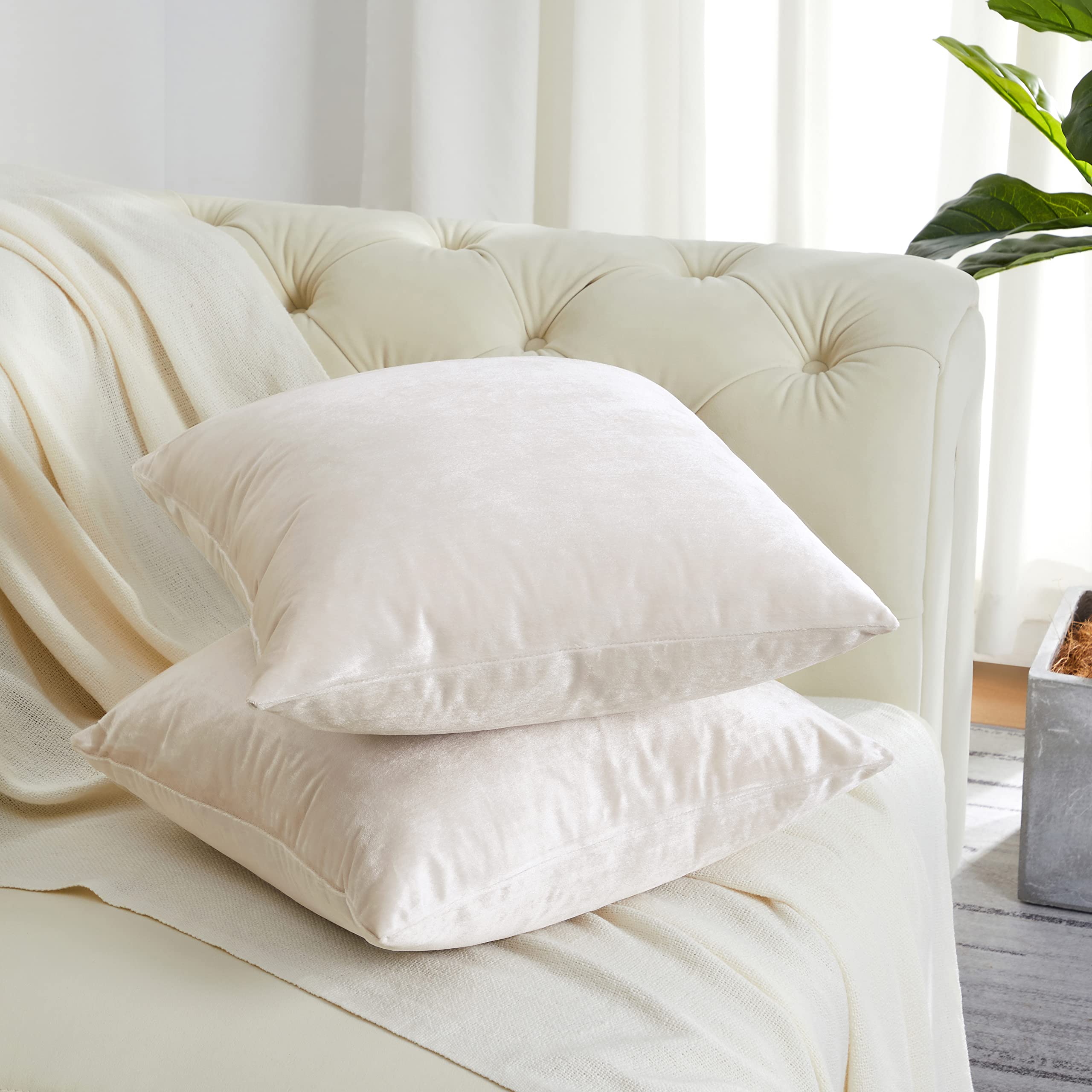 GIGIZAZA 16x16 Velvet Decorative Throw Pillow Covers Set of 2 - Ivory Square Couch Pillow Covers for Sofa, Bedroom & Living Room Decor
