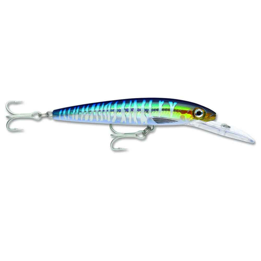 SILVER BLUE MACKEREL