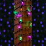 50FT 100 LED Mardi Gras String Lights - Commercial Grade Indoor/Outdoor Waterproof LED Mini Lights for Christmas Tree, Party & Home Decoration (Yellow/Purple/Green, 40,000 Hours Lifespan) | Perfect for Festivals, Weddings, Patio & Garden Lighting