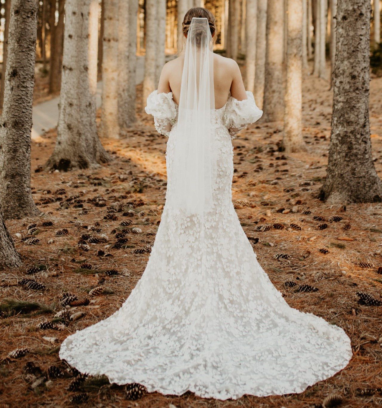 Willowby by Watters Cecilia Wedding Gown - Elegant Lace Bridal Dress for Romantic Ceremonies & Beach Weddings