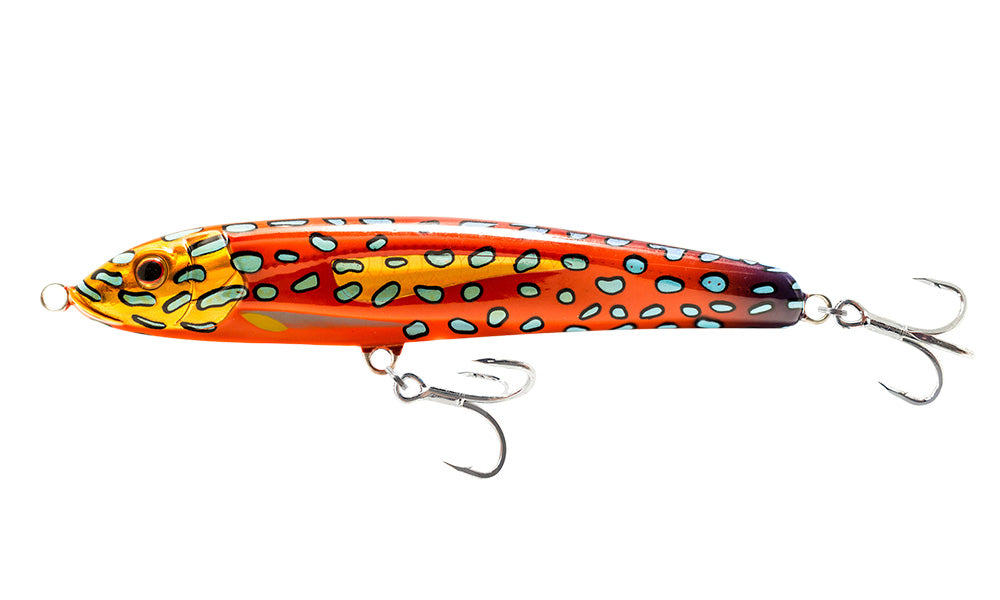 Coral Trout