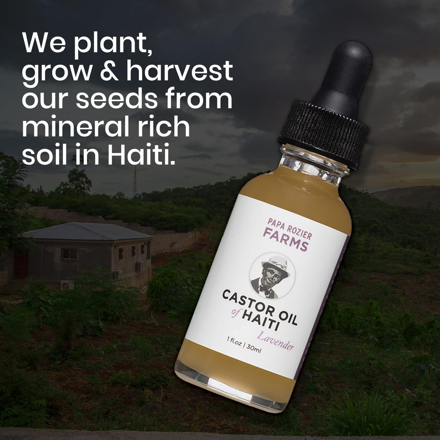 Organic Cold Pressed Haitian Lavender Pure Castor Oil - Hexane Free, Unrefined 1oz - Promotes Hair Growth, Moisturizes Dry Skin, Enhances Eyelashes & Eyebrows - Perfect for Natural Hair Care, Skin Hydration & Beauty Routine (Pack of 1)