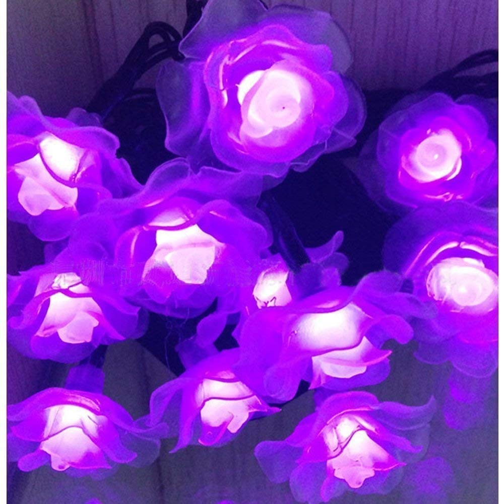Solar Powered 20 LED Rose Flower String Lights - Waterproof Outdoor Fairy Lights with 2 Modes for Garden, Pathway, Wedding & Party Decor (Rose-Purple) | Perfect for Backyard, Patio, Christmas & Holiday Lighting