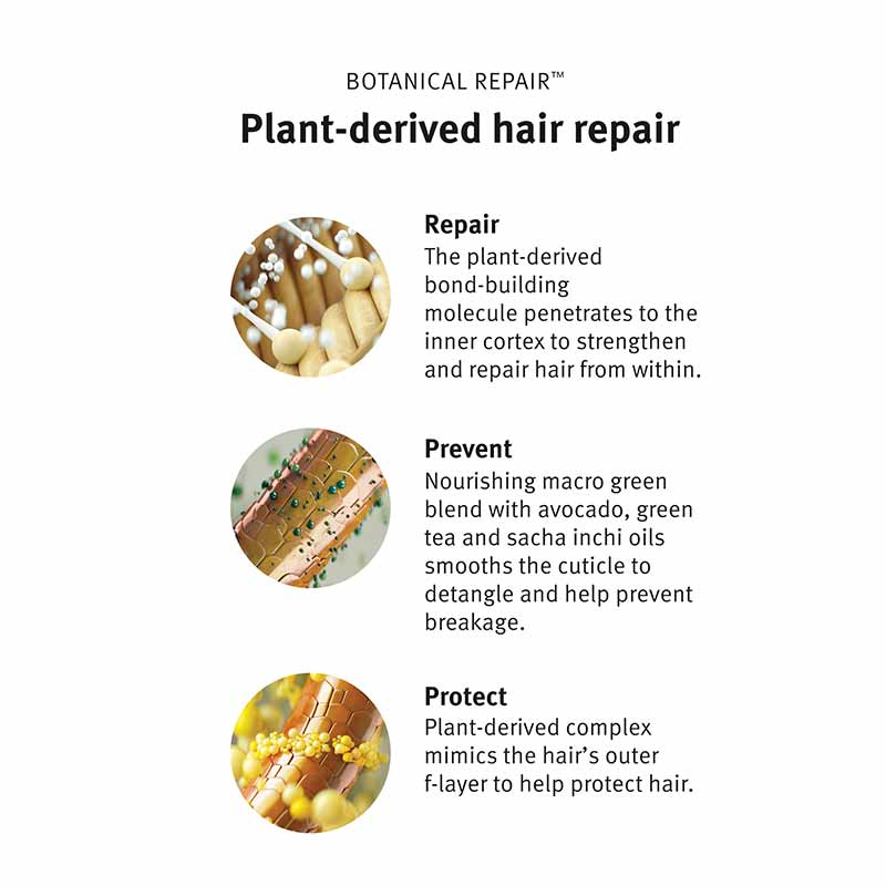Aveda Botanical Repair Strengthening Overnight Serum for Damaged Hair - Deep Conditioning Treatment with Plant-Based Ingredients for Hair Repair While You Sleep | Perfect for Dry, Brittle, and Color-Treated Hair