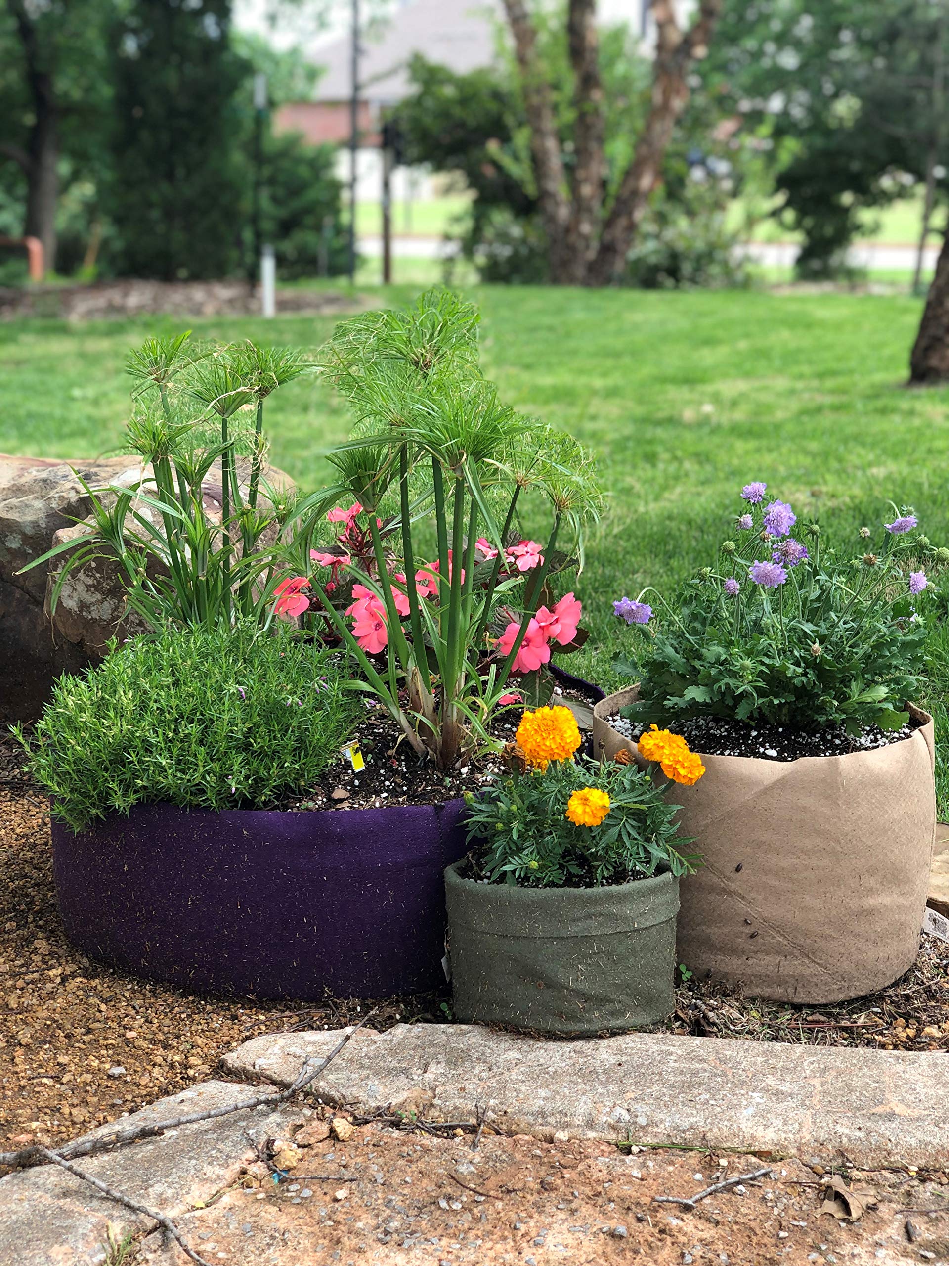 7-Gallon Smart Pot Soft-Sided Fabric Plant Container - Aeration Grow Bags for Vegetables, Herbs & Flowers - Indoor/Outdoor Gardening & Urban Farming