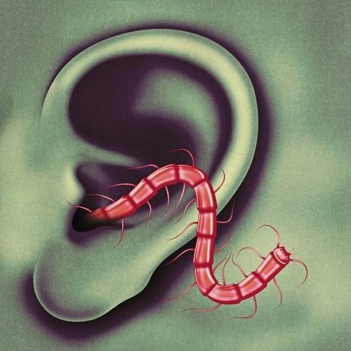 An Odd Entrances Vinyl LP Record - Limited Edition Alternative Music for Home Listening & Collector's Display