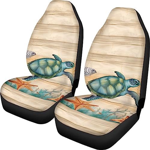 Beach Sea Turtle