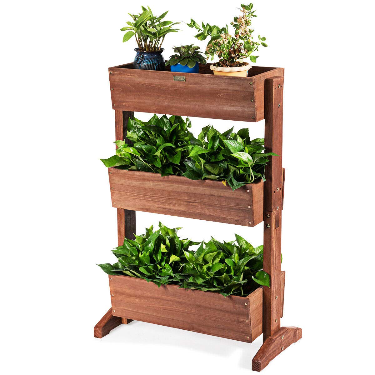 Giantex 3-Tier Raised Garden Bed - Vertical Freestanding Wooden Flower Stand with Detachable Ladder & Adjustable Shelves - Indoor/Outdoor Plant Organizer for Patio, Balcony, Backyard (Nut Brown)