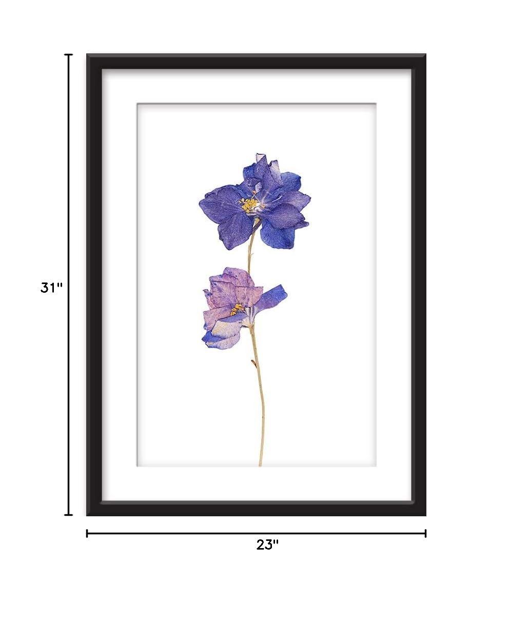 Wall26 - Framed Wall Art - Hand Drawn Purple Floral Botanical Print - Giclee Printed Canvas in Black Picture Frame with White Mat - 23x31 Inches - Perfect for Living Room, Bedroom & Office Decor