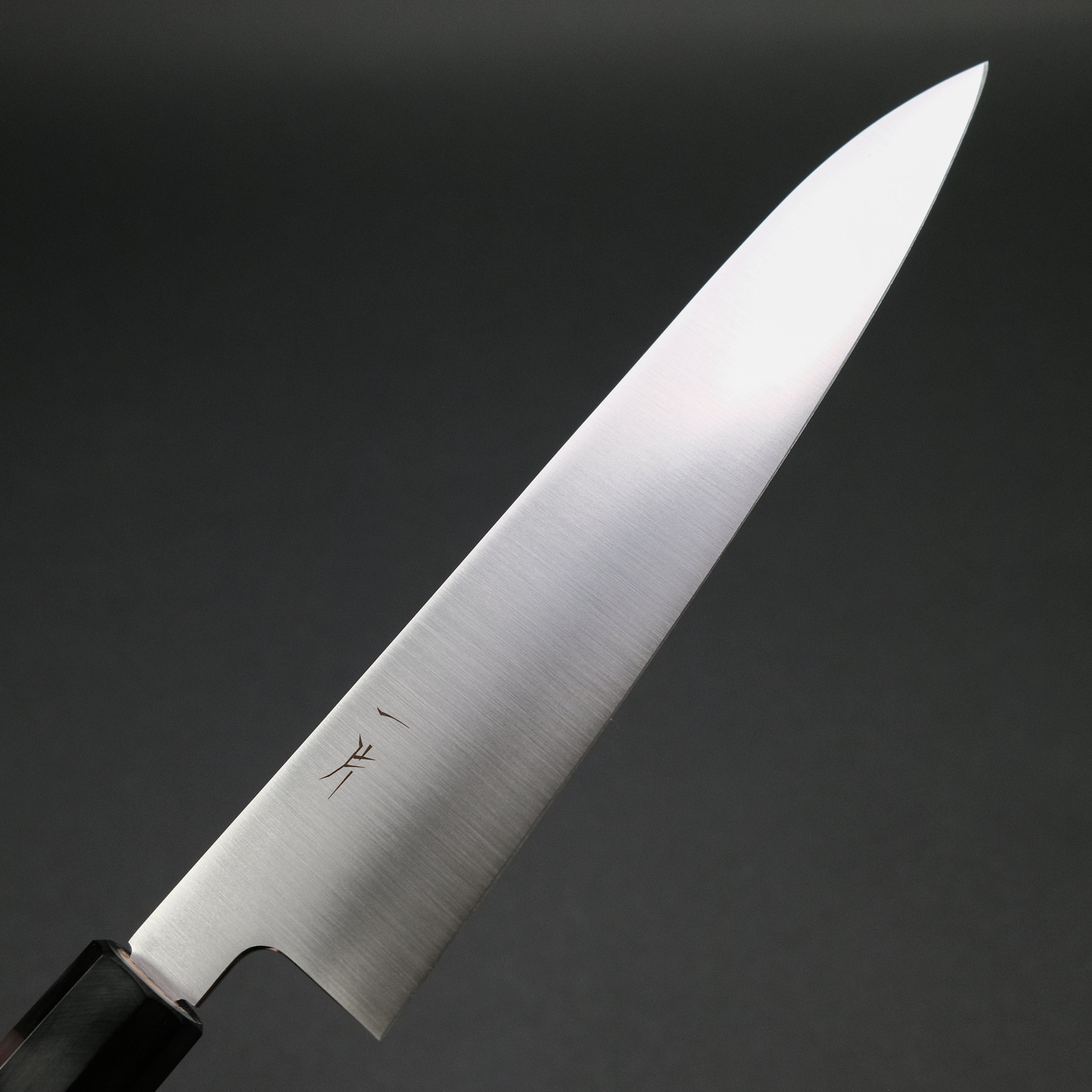 Premium Hitohira FJ VG-10 Gyuto Japanese Chef Knife 210mm - Ho Wood Wa Handle for Professional Chefs & Home Cooking - Perfect for Slicing, Dicing & Precision Cutting