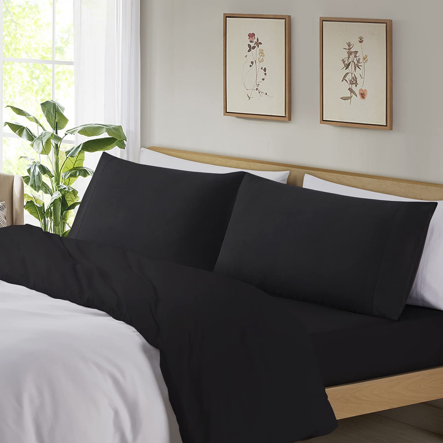 Empyrean Bedding Pillow Case – Premium Black Standard Size Pillowcases (20”x30”) – Soft Cooling Microfiber Pillow Covers – Stain & Fade Resistant – Ideal for Queen Beds, Hotels & Guest Rooms