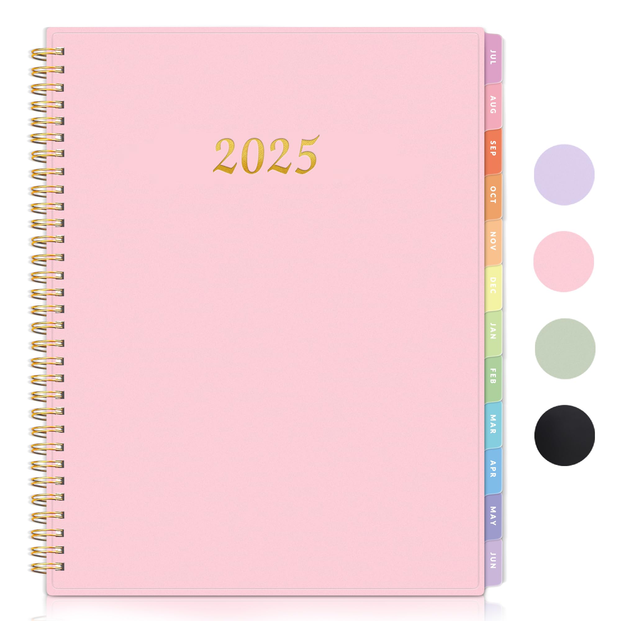 Annecy 2025 Planner - Weekly & Monthly Planner 2025 (January to December) - 8.5