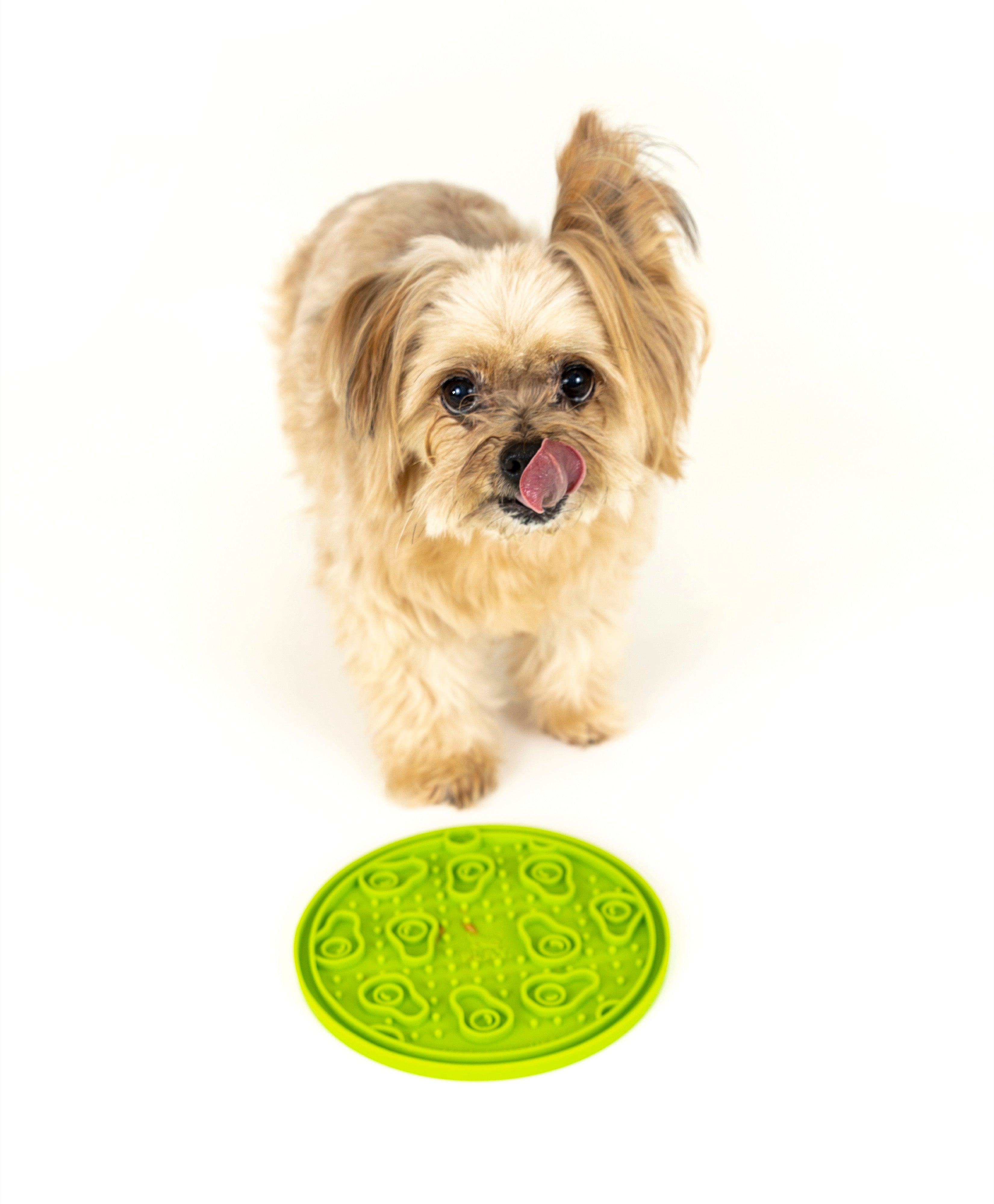 EverLick Slow Feeder Mat for Dogs and Cats - Avocado (Small) & Pineapple (Large) | Pet P.L.A.Y. - Interactive Puzzle Toy for Mealtime Fun & Mental Stimulation