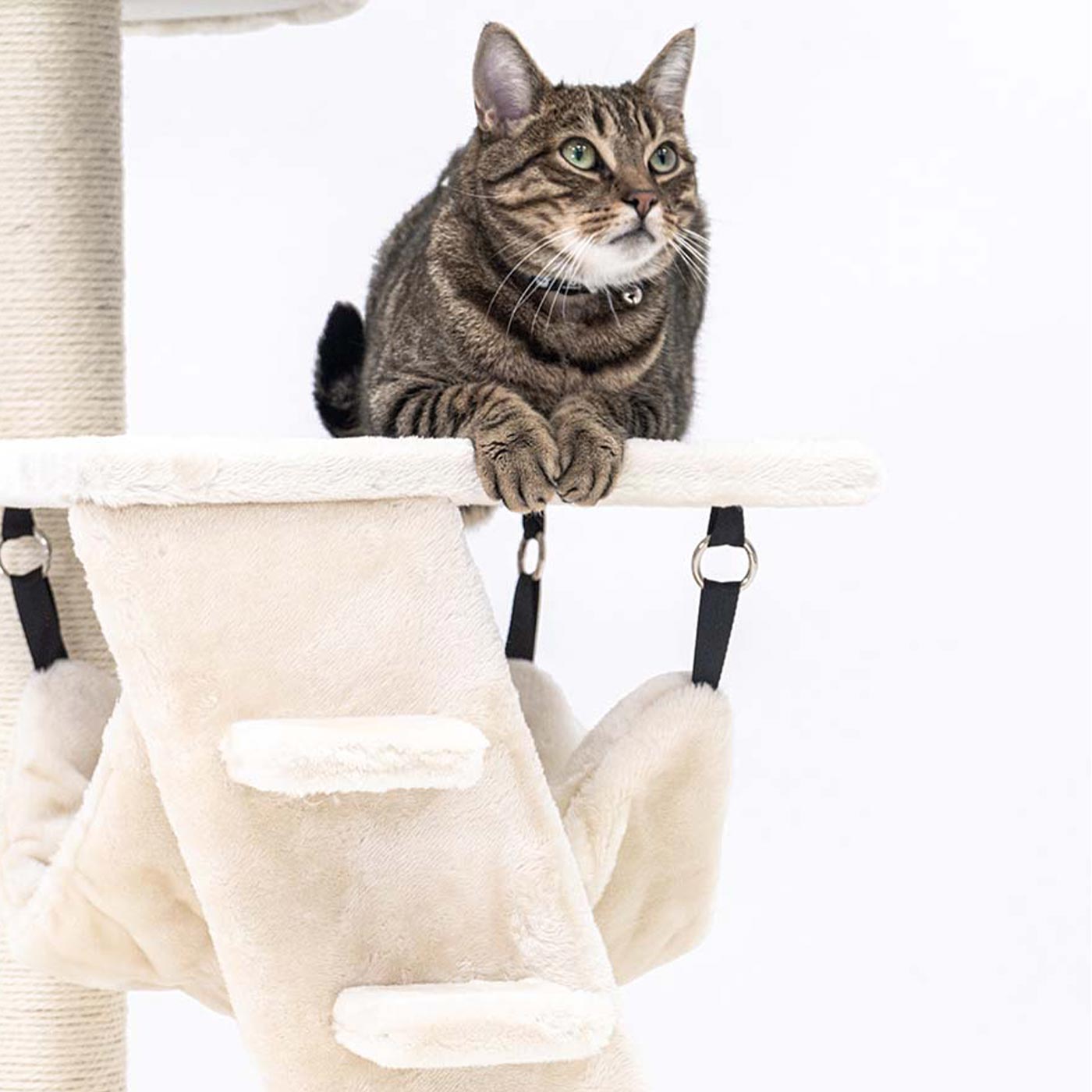 Little Rebels Seattle 89cm Cat Tree with Scratching Posts & Perches - Premium Cat Climbing Tower for Indoor Cats - Perfect for Small Spaces & Playtime