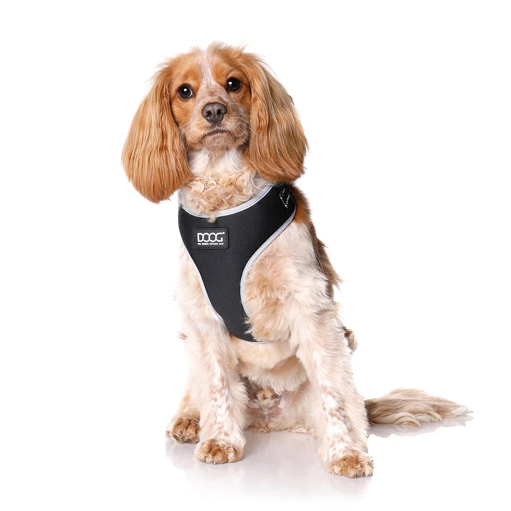 Premium Black Neoprene Dog Collar - Durable & Comfortable Pet Accessory for Small Medium Large Dogs - Perfect for Daily Walks, Training & Outdoor Adventures