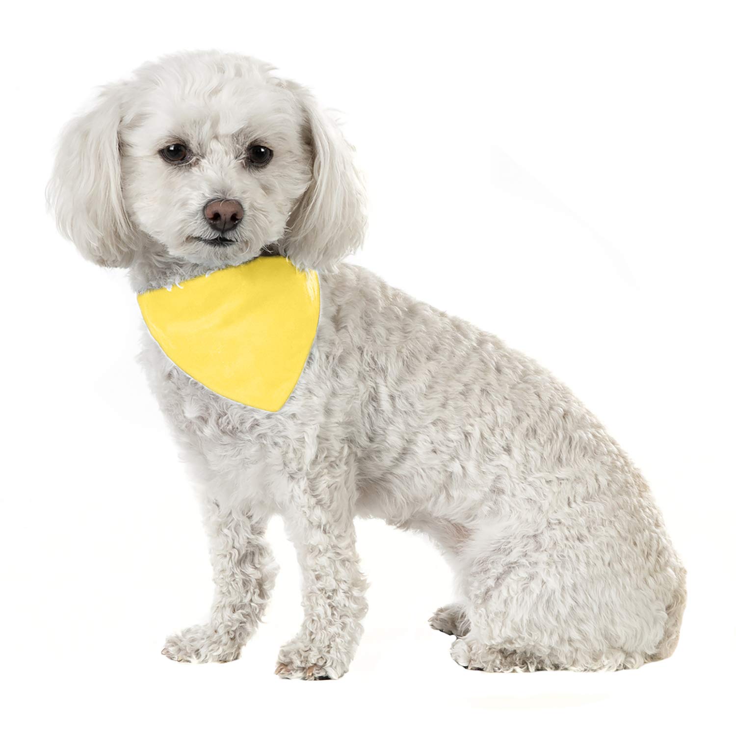 3 Pack Solid Cotton Dog Bandanas - Adjustable Triangle Bibs for Small & Medium Pets (Yellow) | Perfect for Grooming, Photos & Everyday Wear