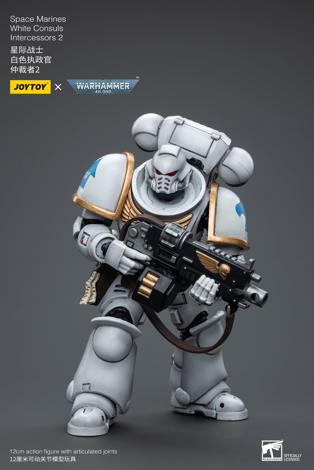 1/18 JOYTOY Warhammer 40K Space Marines White Consuls Intercessors Action Figure - Collectible Miniature for Tabletop Gaming & Display
