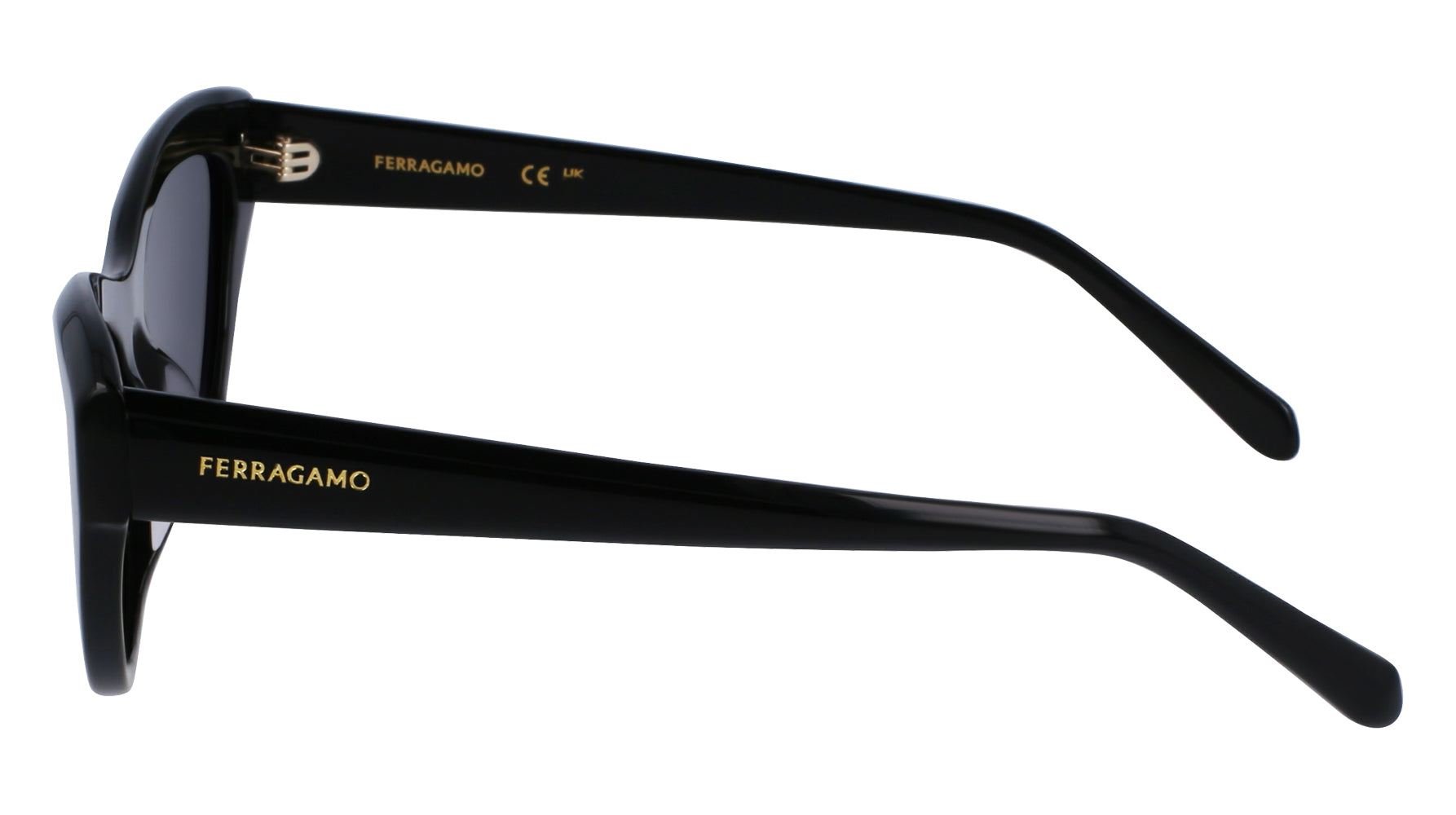 Ferragamo SF1103S Sunglasses for Women - Luxury Designer Shades with UV Protection - Perfect for Outdoor Activities, Travel, and Fashion Accessories